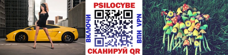 Галлюциногенные грибы Cubensis наркошоп Нижняя Салда